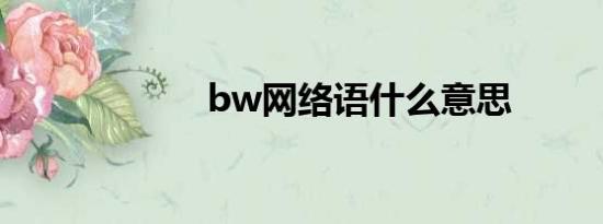 bw网络语什么意思