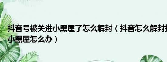 抖音号被关进小黑屋了怎么解封（抖音怎么解封抖音被关进小黑屋怎么办）