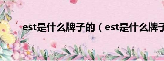 est是什么牌子的（est是什么牌子）