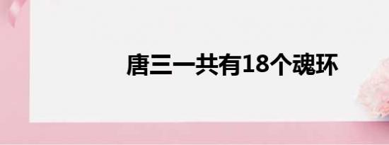 唐三一共有18个魂环