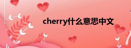 cherry什么意思中文