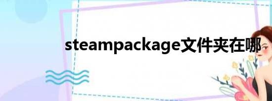 steampackage文件夹在哪