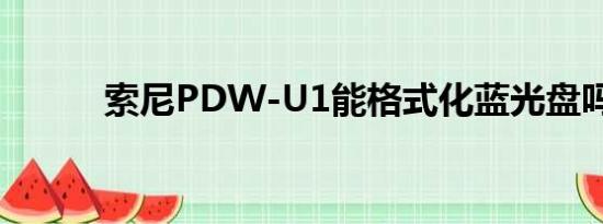 索尼PDW-U1能格式化蓝光盘吗