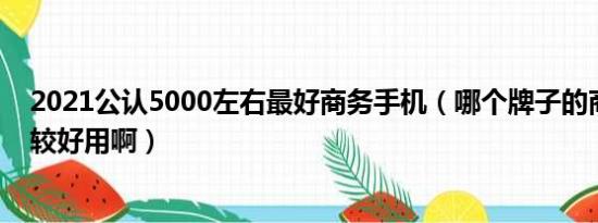 2021公认5000左右最好商务手机（哪个牌子的商务手机比较好用啊）