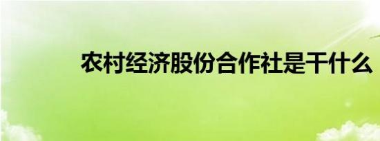 农村经济股份合作社是干什么