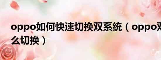 oppo如何快速切换双系统（oppo双系统怎么切换）