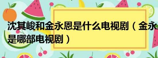 沈其峻和金永恩是什么电视剧（金永恩沈其俊是哪部电视剧）