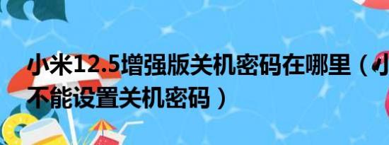 小米12.5增强版关机密码在哪里（小米12能不能设置关机密码）