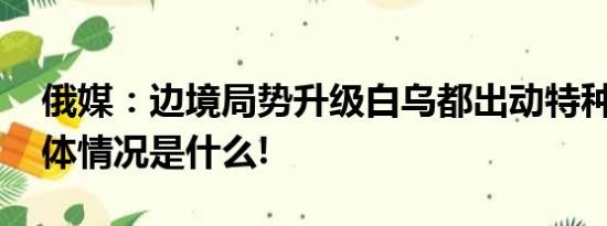 俄媒：边境局势升级白乌都出动特种部队 具体情况是什么!