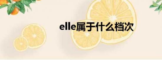 elle属于什么档次