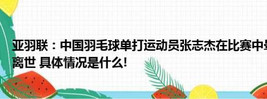 亚羽联：中国羽毛球单打运动员张志杰在比赛中晕倒后不治离世 具体情况是什么!