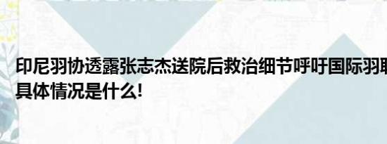 印尼羽协透露张志杰送院后救治细节呼吁国际羽联修改规则 具体情况是什么!