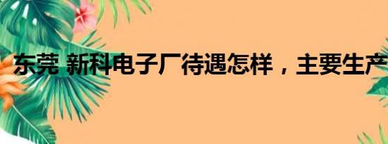 东莞 新科电子厂待遇怎样，主要生产什么？