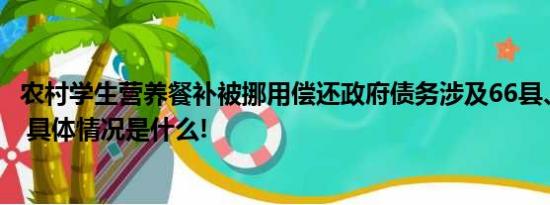 农村学生营养餐补被挪用偿还政府债务涉及66县、近20亿元 具体情况是什么!