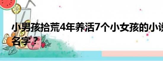 小男孩拾荒4年养活7个小女孩的小说叫什么名字？