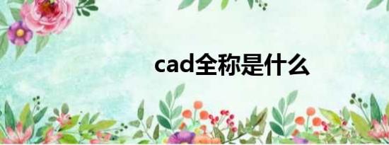 cad全称是什么