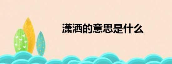 潇洒的意思是什么