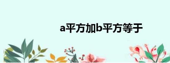 a平方加b平方等于