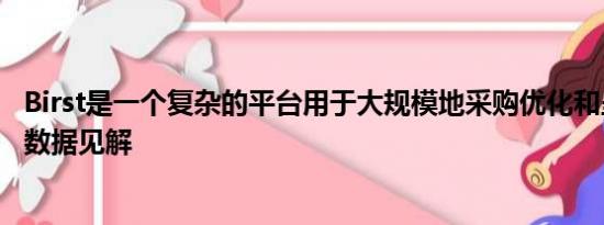 Birst是一个复杂的平台用于大规模地采购优化和呈现标准化数据见解