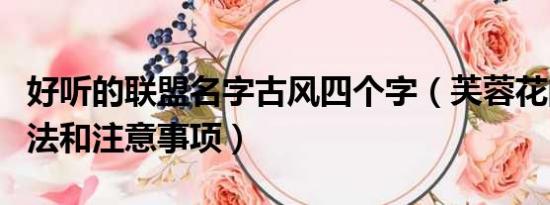 好听的联盟名字古风四个字（芙蓉花的养殖方法和注意事项）