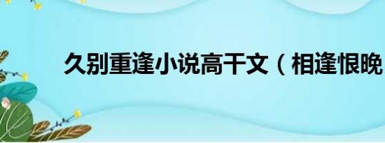 久别重逢小说高干文（相逢恨晚）