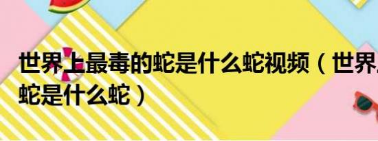 世界上最毒的蛇是什么蛇视频（世界上最毒的蛇是什么蛇）