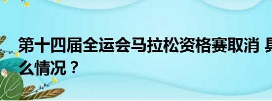 第十四届全运会马拉松资格赛取消 具体是什么情况？