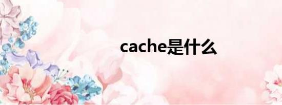 cache是什么