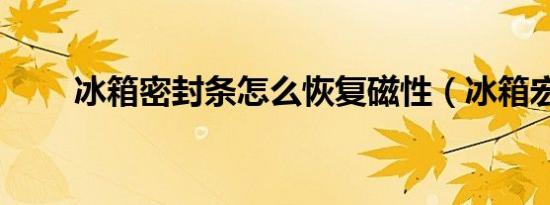 冰箱密封条怎么恢复磁性（冰箱宏）