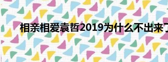 相亲相爱袁哲2019为什么不出来了？