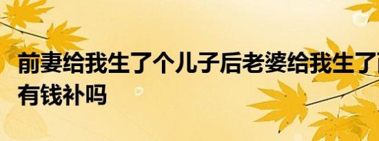 前妻给我生了个儿子后老婆给我生了两个孩子有钱补吗