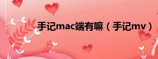 手记mac端有嘛（手记mv）