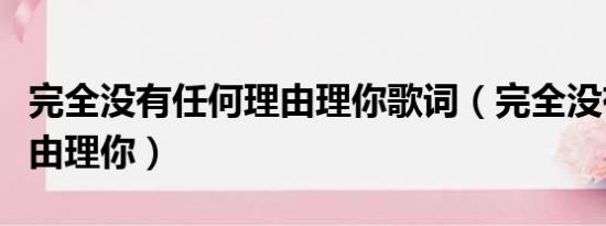 完全没有任何理由理你歌词（完全没有任何理由理你）