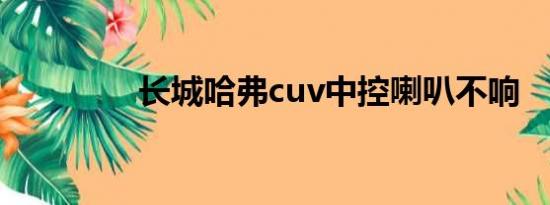 长城哈弗cuv中控喇叭不响