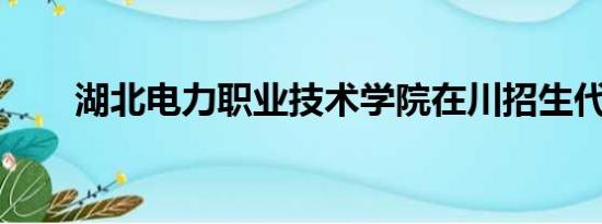 湖北电力职业技术学院在川招生代码