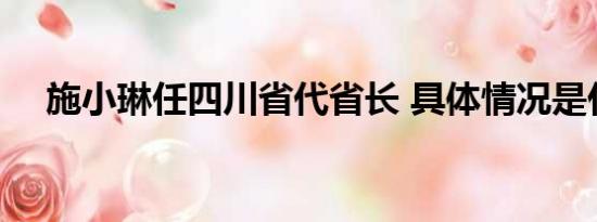 施小琳任四川省代省长 具体情况是什么!