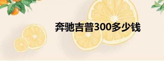 奔驰吉普300多少钱