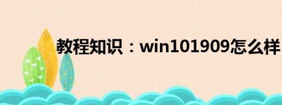 教程知识：win101909怎么样