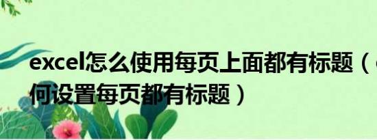 excel怎么使用每页上面都有标题（excel如何设置每页都有标题）