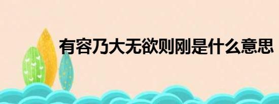 有容乃大无欲则刚是什么意思