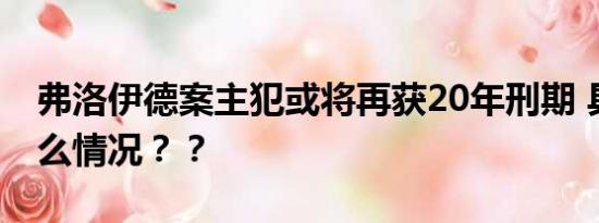 弗洛伊德案主犯或将再获20年刑期 具体是什么情况？？