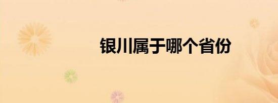 银川属于哪个省份