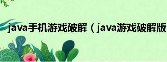 java手机游戏破解（java游戏破解版网站）