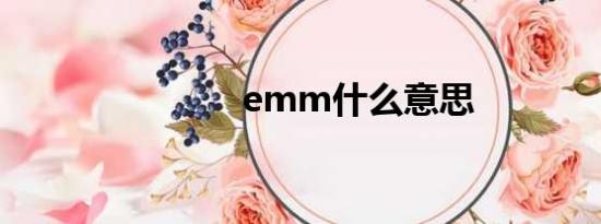 emm什么意思