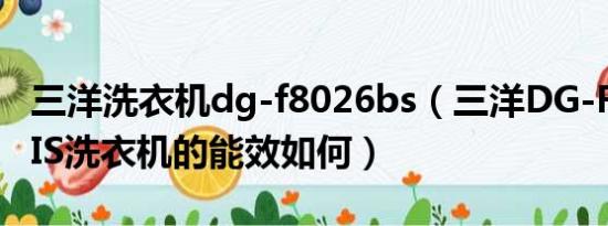 三洋洗衣机dg-f8026bs（三洋DG-F90310BIS洗衣机的能效如何）