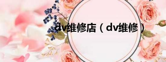 dv维修店（dv维修）