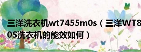 三洋洗衣机wt7455m0s（三洋WT8755BIM0S洗衣机的能效如何）