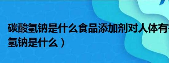 碳酸氢钠是什么食品添加剂对人体有害（碳酸氢钠是什么）