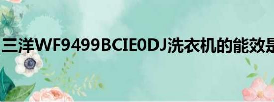 三洋WF9499BCIE0DJ洗衣机的能效是多少？