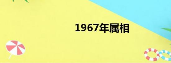 1967年属相